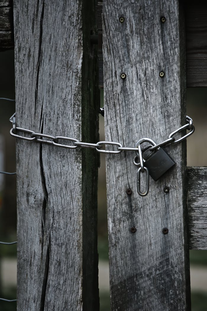 Weathered wooden gate secured with a rusty chain and padlock outdoors.